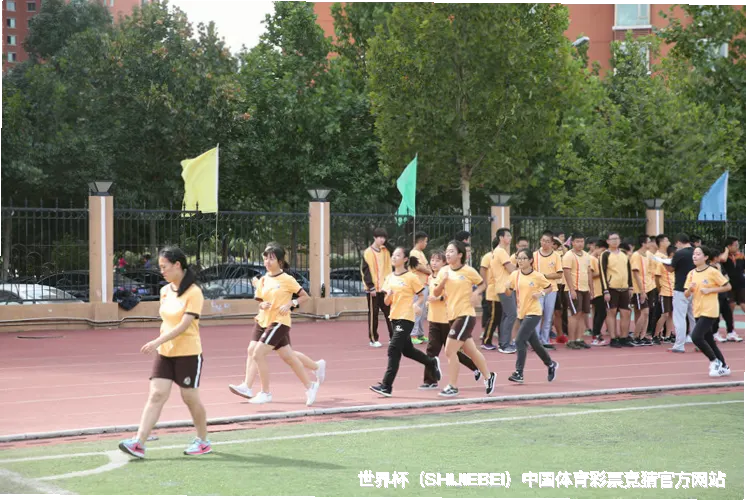 未来愿景与发展方向